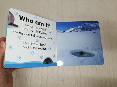 Who am i snowy animals nau19, 