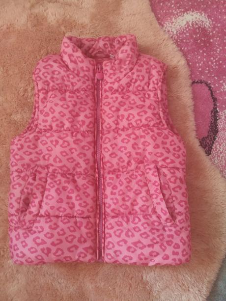 Vesta 104, palomino,104