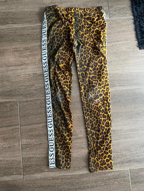 Leginy guess, guess,140