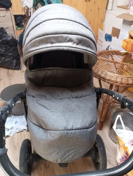 Kočik camarelo, camarelo,camarelo malaga