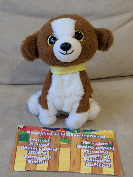 Psík reagujuci na povely, 