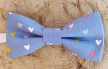 Chlapčenský motýlik, 