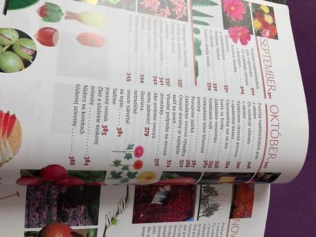 Rok v našej záhrade, 