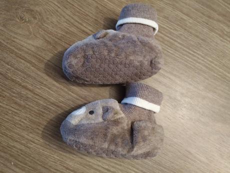 Medvedíkové papučky, 