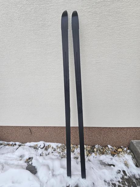 Bežky salomon, salomon