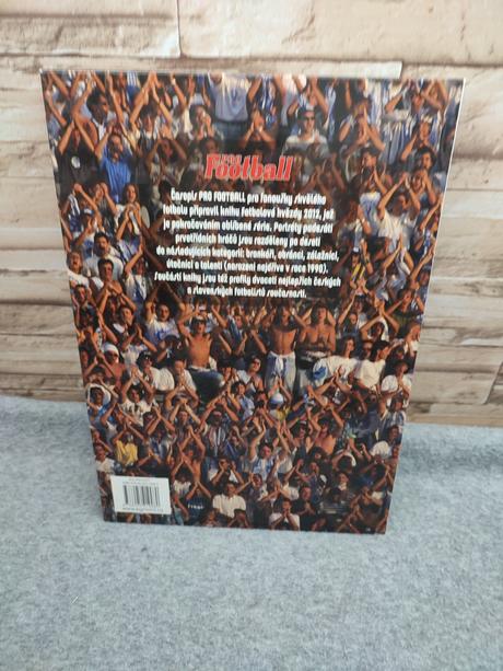 Fotbalové hvězdy 2012 cz - jan palička, 