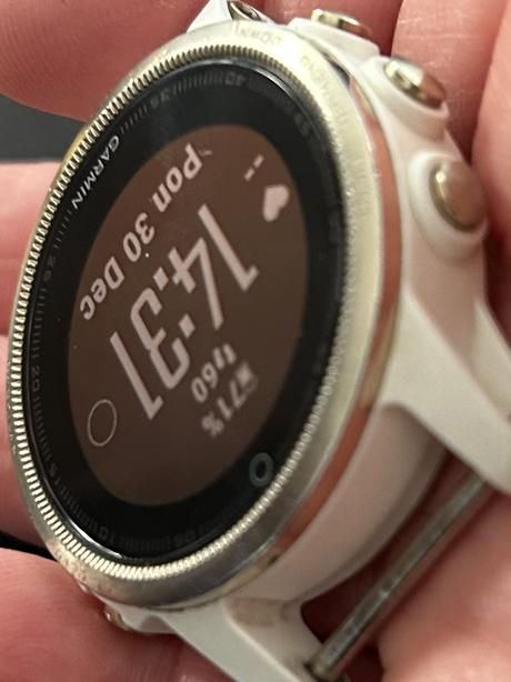 Garmin fenix 5s, garmin