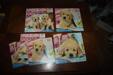 Puzzle golden retriever 3x 49, 