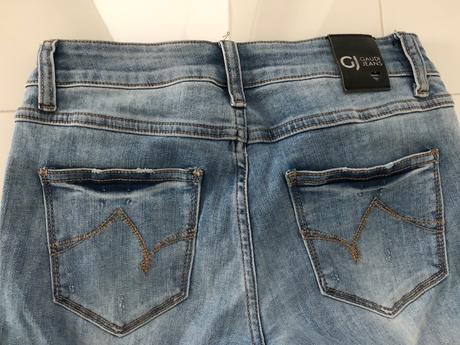 Gaudi rifle, gaudi,26