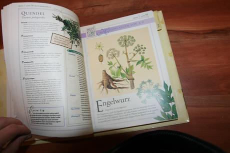 Das abc der naturheilkunde.,