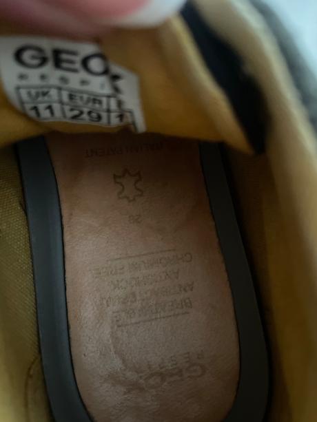 Geox v.29, geox,29
