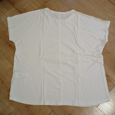 Tričko s tigrom, 44