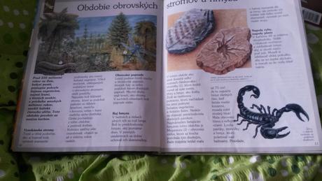 Kniha dinosaury,