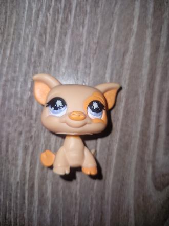 Littlest pet shop prasiatko,