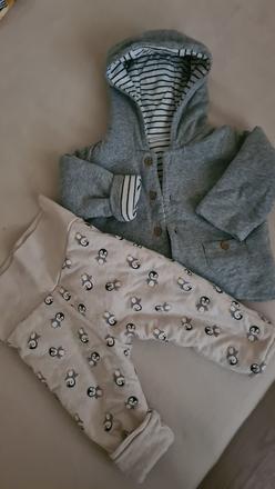 Teplejsia suprava, next,74