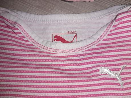 Lodger nosič, lodger