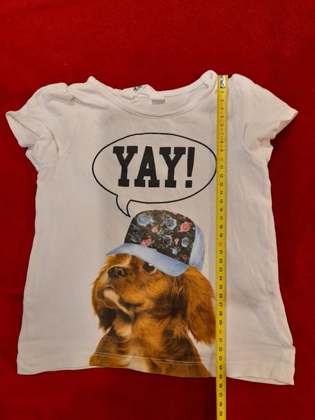 Tričko so psíkom, h&m,98