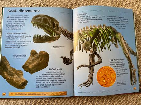 Krásna kniha dinosaury rachel firth,