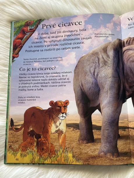 Dinosaury a prehistorický život,