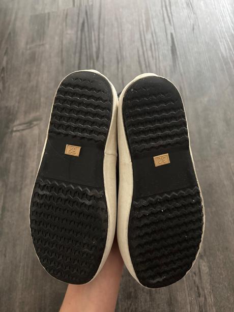 Aigle snehule, aigle,32