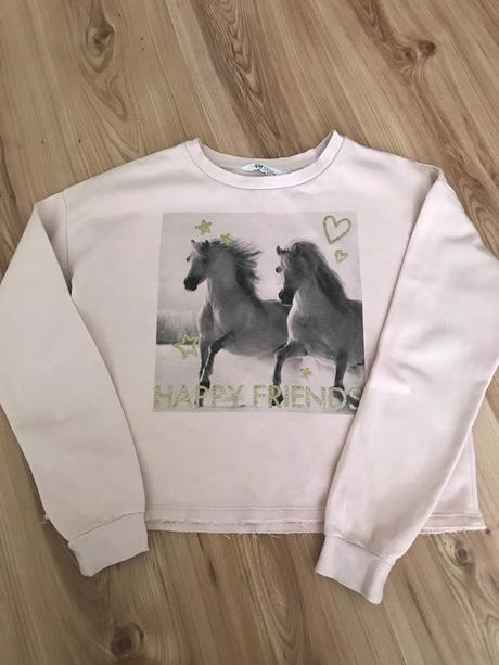 Mikina, h&m,170