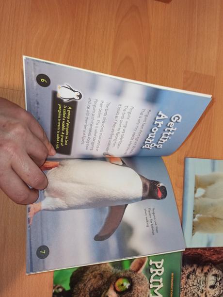 Introduction to nature pb,