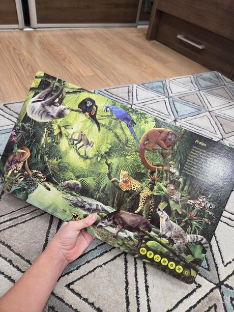 Albi kniha svet zvierat,