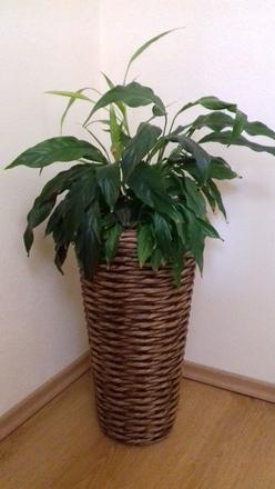 Vysoký kôš/obal na kvetináč,