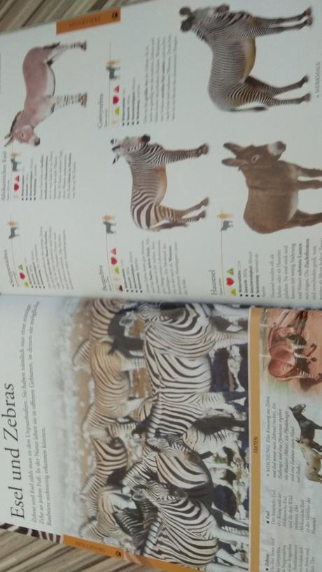 Predám mini encyklopédiu, 