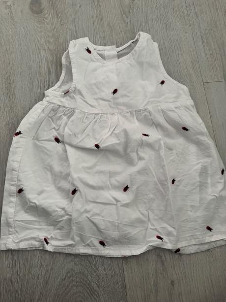 Šaty lienkove, zara,56