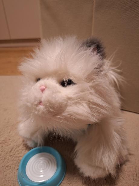 Pradúca,mňaukajúca,papajúca mačka, 