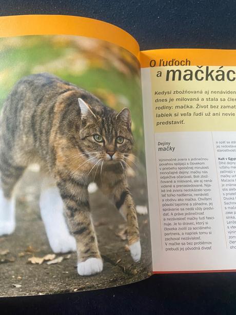 Život s mačkou starostlivosť, kŕmenie a zábava  de, 