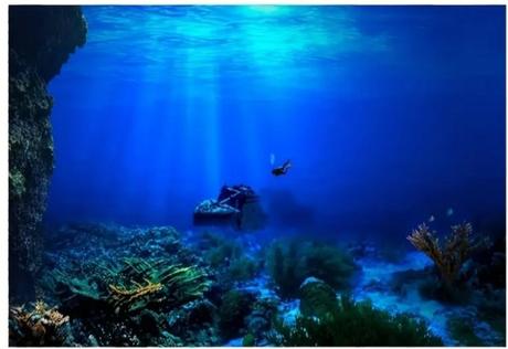 Tapeta na akvárium, 