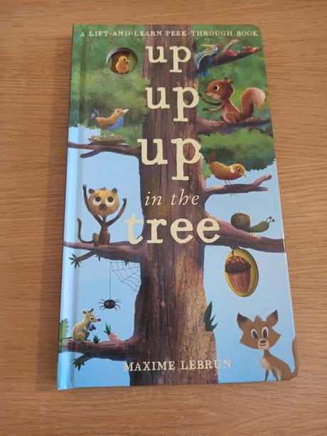 Maxime lebrun up in the tree, 