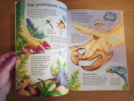 Usborne great prehistoric search, 