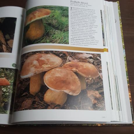 Huby veľká encyklopédia, 