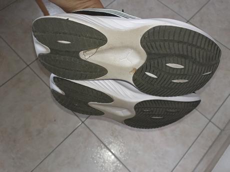 Puma 39, puma,39