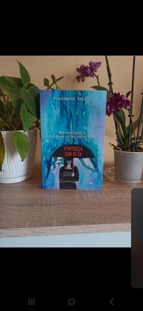 Vymyslela som si ťa, 