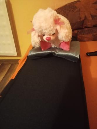 Plyšový psík aj vankúš,