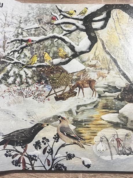 Kúzelné číranie hravá prírodoveda, 