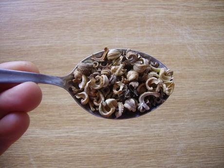 Semená rôznych rastlín, 