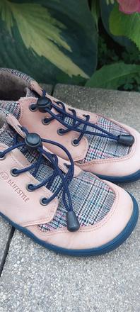 Barefoot blifestyle tapir, 31