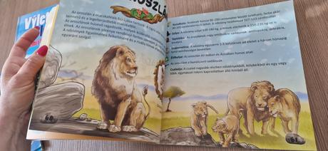 Elsō enciklopediam, 