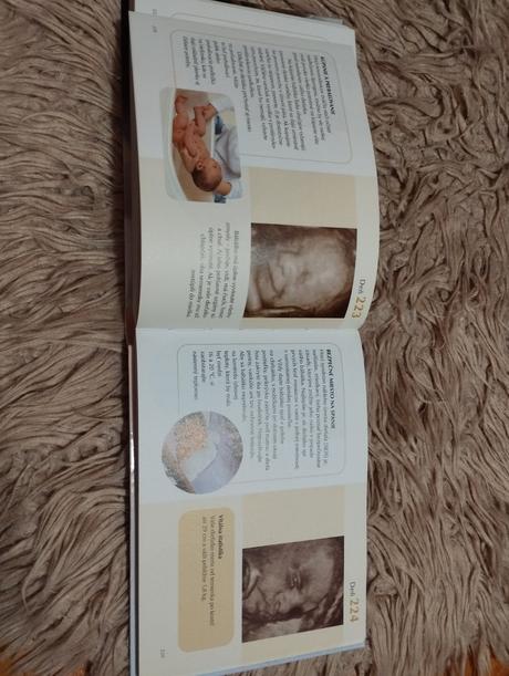 Tehotenstvo deň po dni,