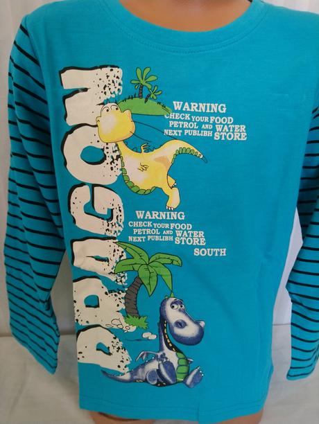 Chlapč. tyrkysové pyžamo dr dragon, n-feel 104-110, 110