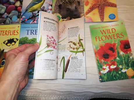 Usborne spotter's guides, 