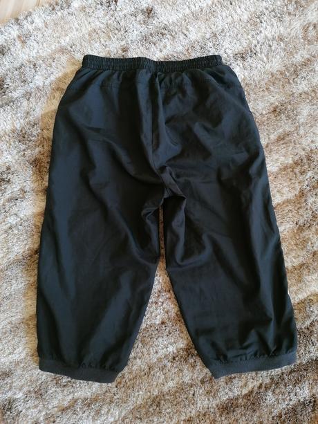 Puma trištvrtáky, puma,152