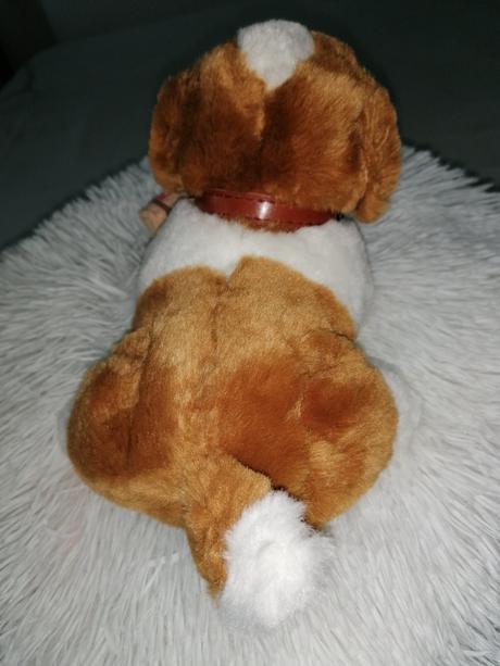 Plyšový psík bernardín, 