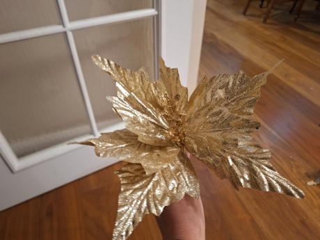 7x vianočná ruža, 