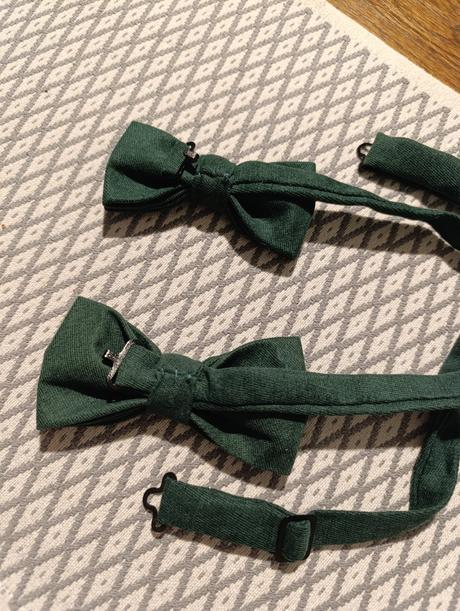 Elegantné motýliky otec syn, 